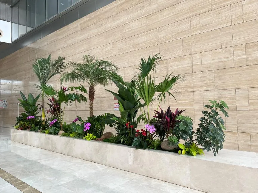 宁波慈溪植物租摆价格实惠